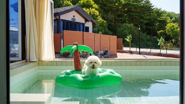 A pool with a dog on a green float shaped like a palm tree. - Taean Holy Dog Pool Villa (Taean)