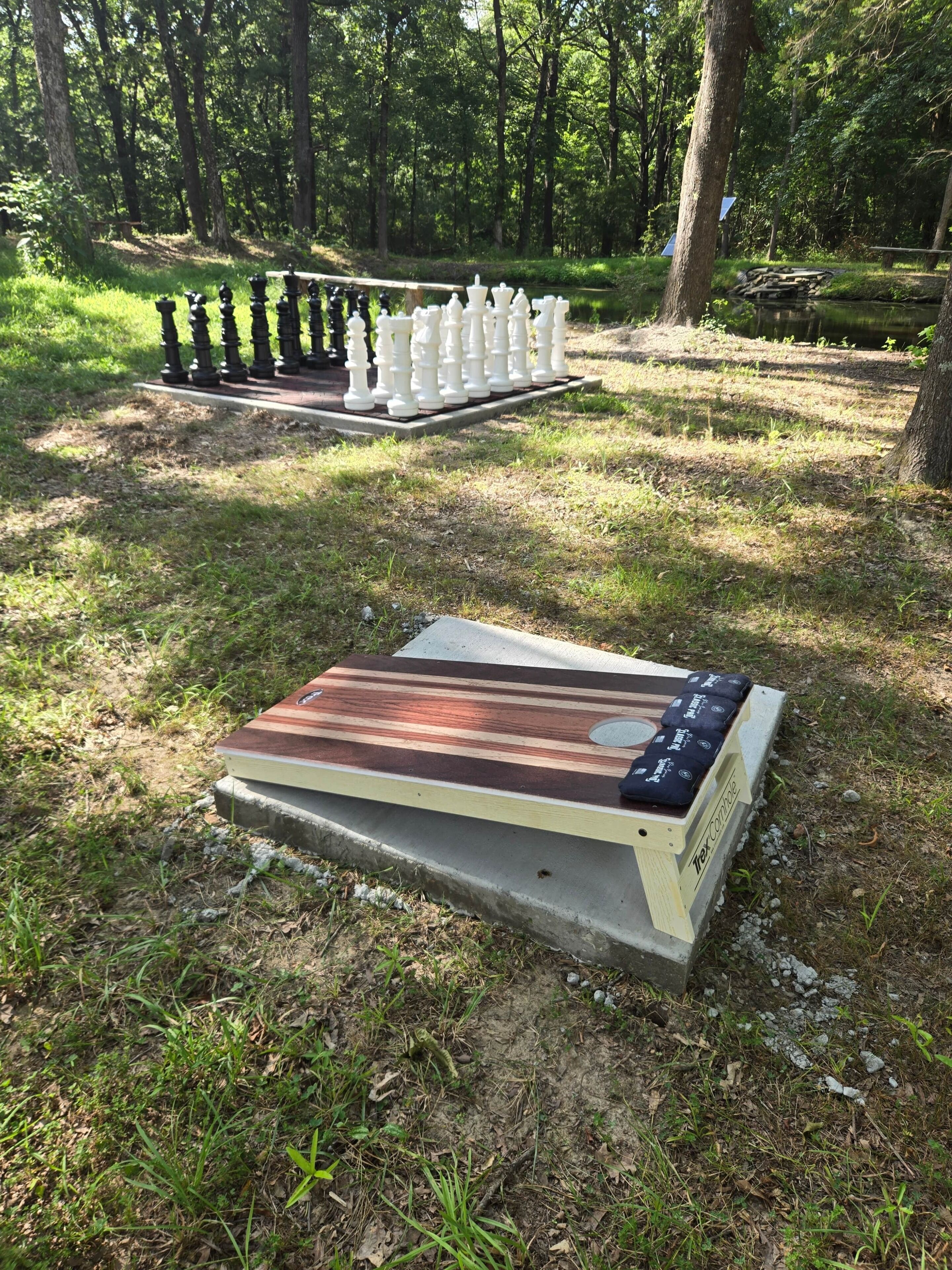 A chessboard set outdoors in a wooded area.