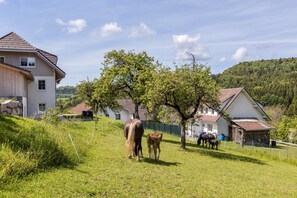 Unterkunftsgelände