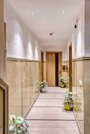 A hallway with glass doors, a wooden door at the end, and potted plants. - Hotel Holiday Dreamz (Amritsar)