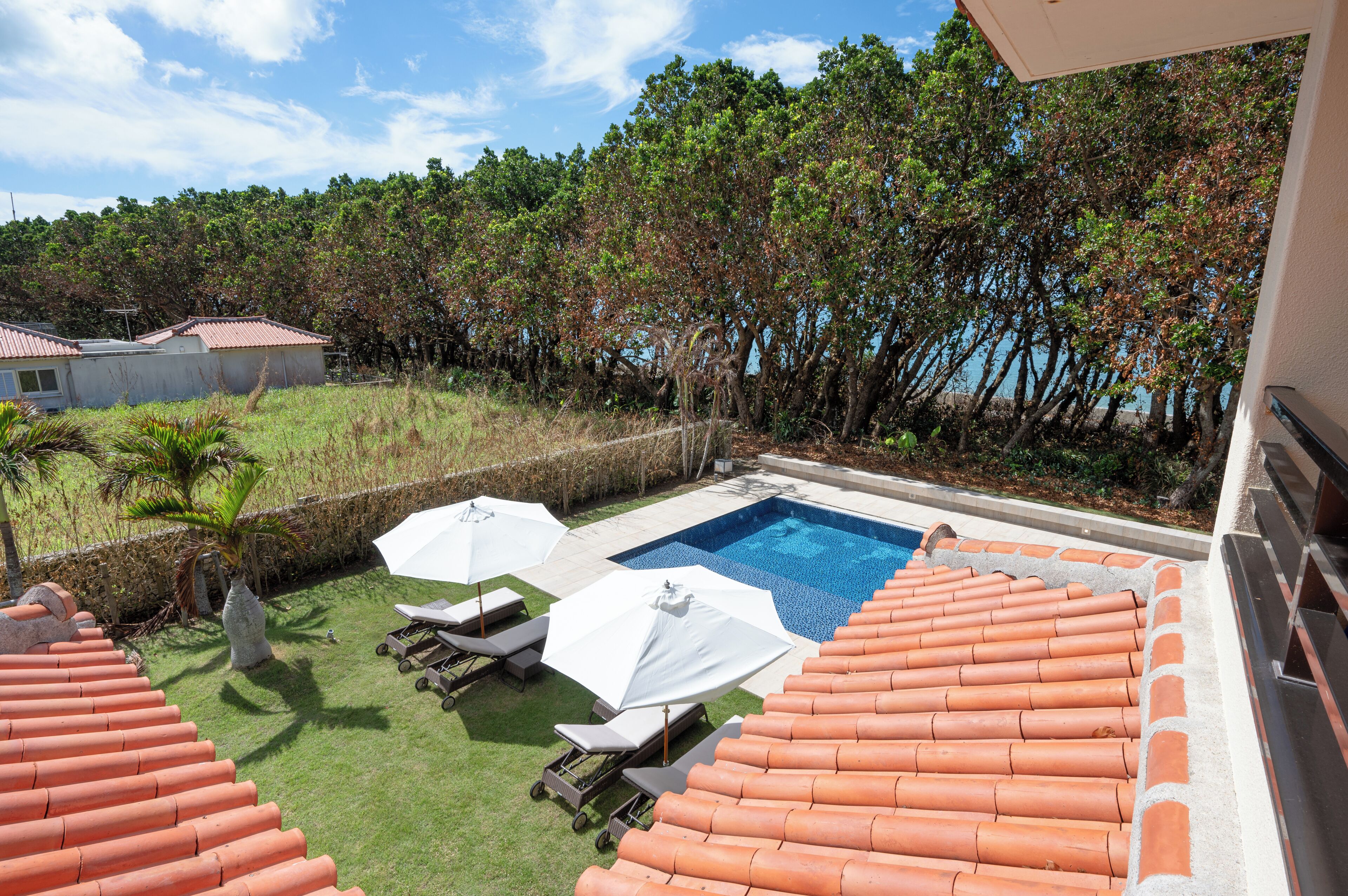 Terraza o patio