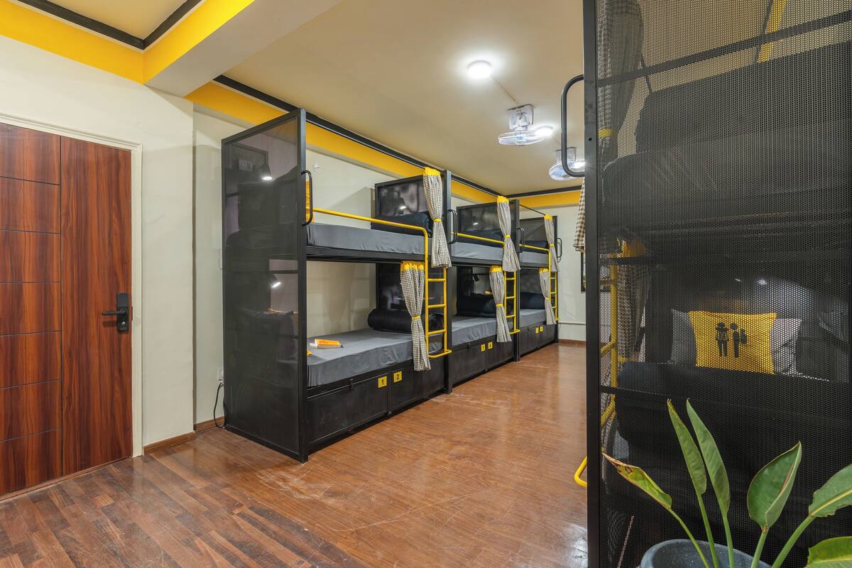 A room with bunk beds, a wooden door, and a potted plant.