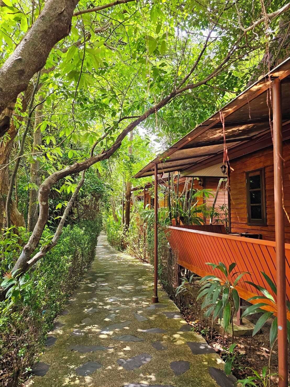 Deluxe Double Room | Wifi gratis y ropa de cama 