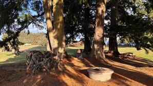 A picnic area with a fire pit and benches under tall trees.