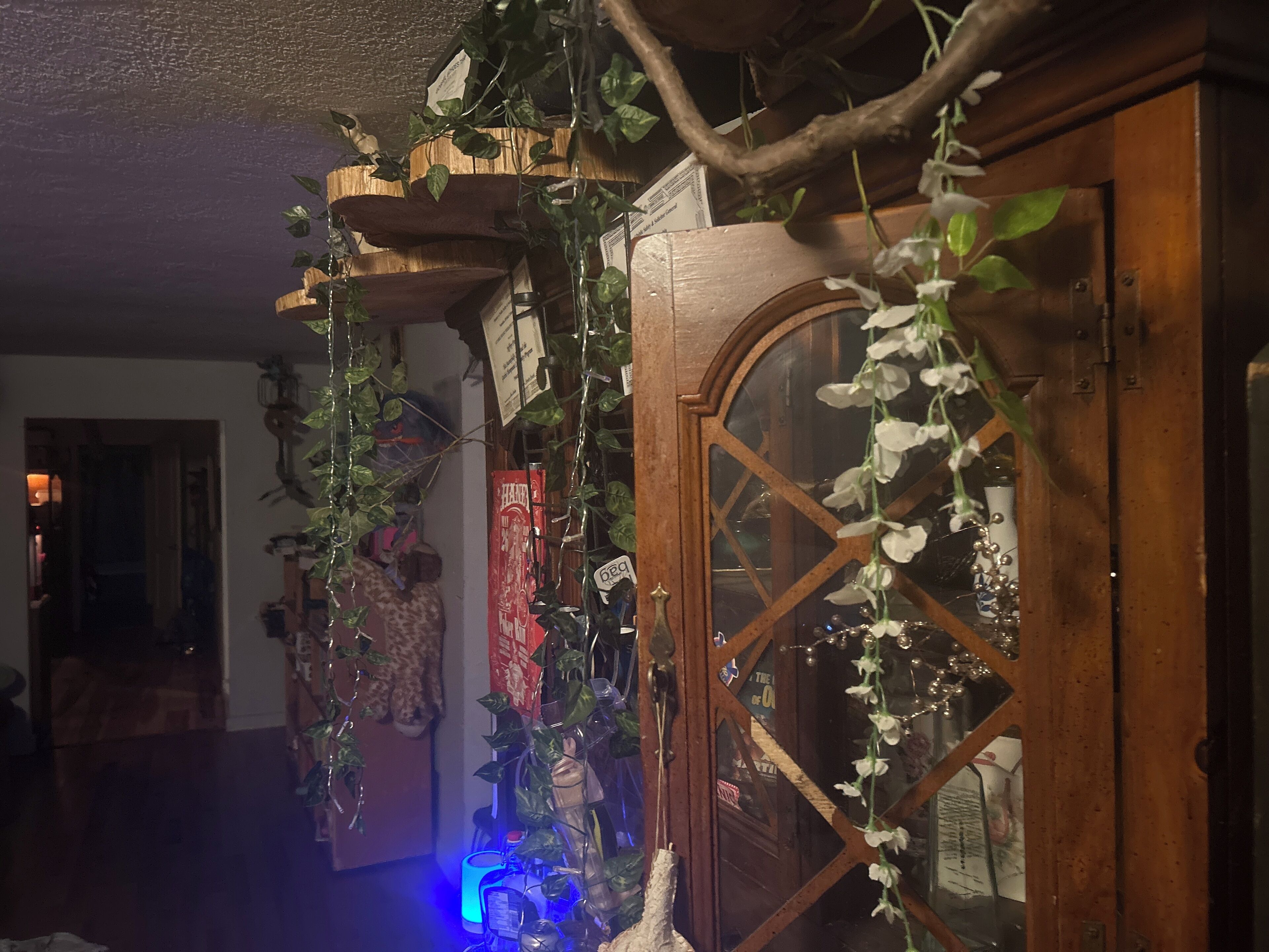 Een kamer met een houten kast, planken met diverse spullen en hangplanten.