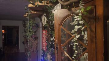 Een kamer met een houten kast, planken met diverse spullen en hangplanten.