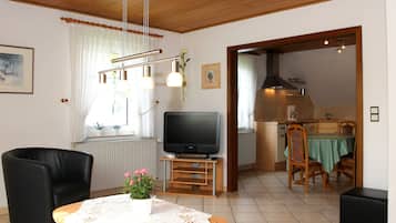 Fernseher, Stereoanlage