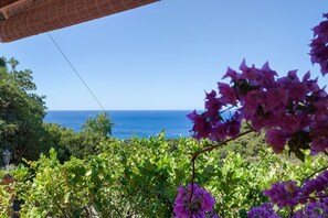 Blick auf das Meer durch einen Garten mit violetten Blüten im Vordergrund.