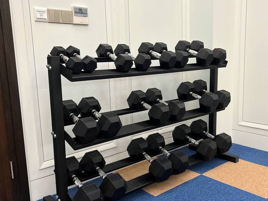 A rack of black dumbbells in a room with white walls and a blue carpet.