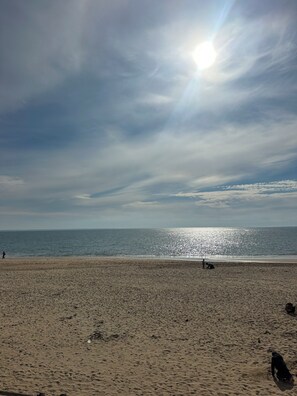 A beach with a clear sky, the sun shining, and people walking and playing. - Vacation home with a pool, 400 meters from the beach (La Tranche-sur-Mer)