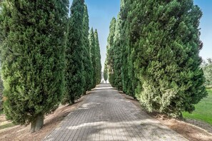 Standard Apartment, Multiple Bedrooms, Mountainside (Borgo Ciclamino Pool&Activities) | Property grounds - Borgo Ciclamino Pool&activities (Montaione)