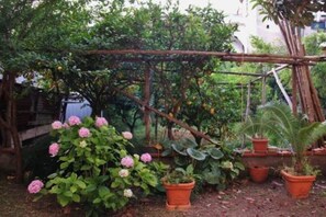 A garden with a trellis, potted plants, and flowering shrubs. - Day Dream Sorrento - Your charming retreat in the heart of the city (Sorrento)