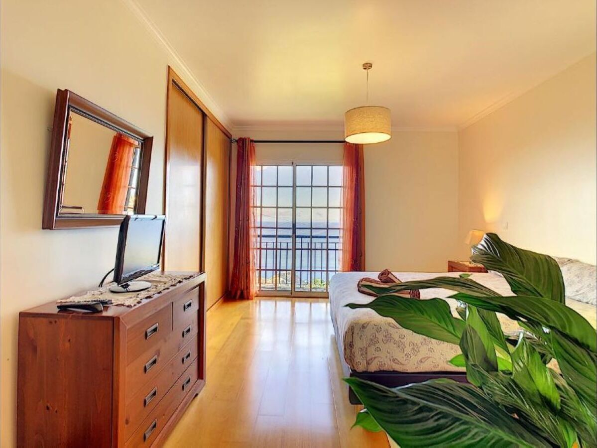 A bedroom with a bed, a dresser, a television, a large window with curtains, and a plant.