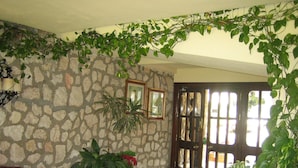 Une pièce avec un mur en pierre, une porte en bois, un canapé en cuir rouge et diverses plantes en pot.