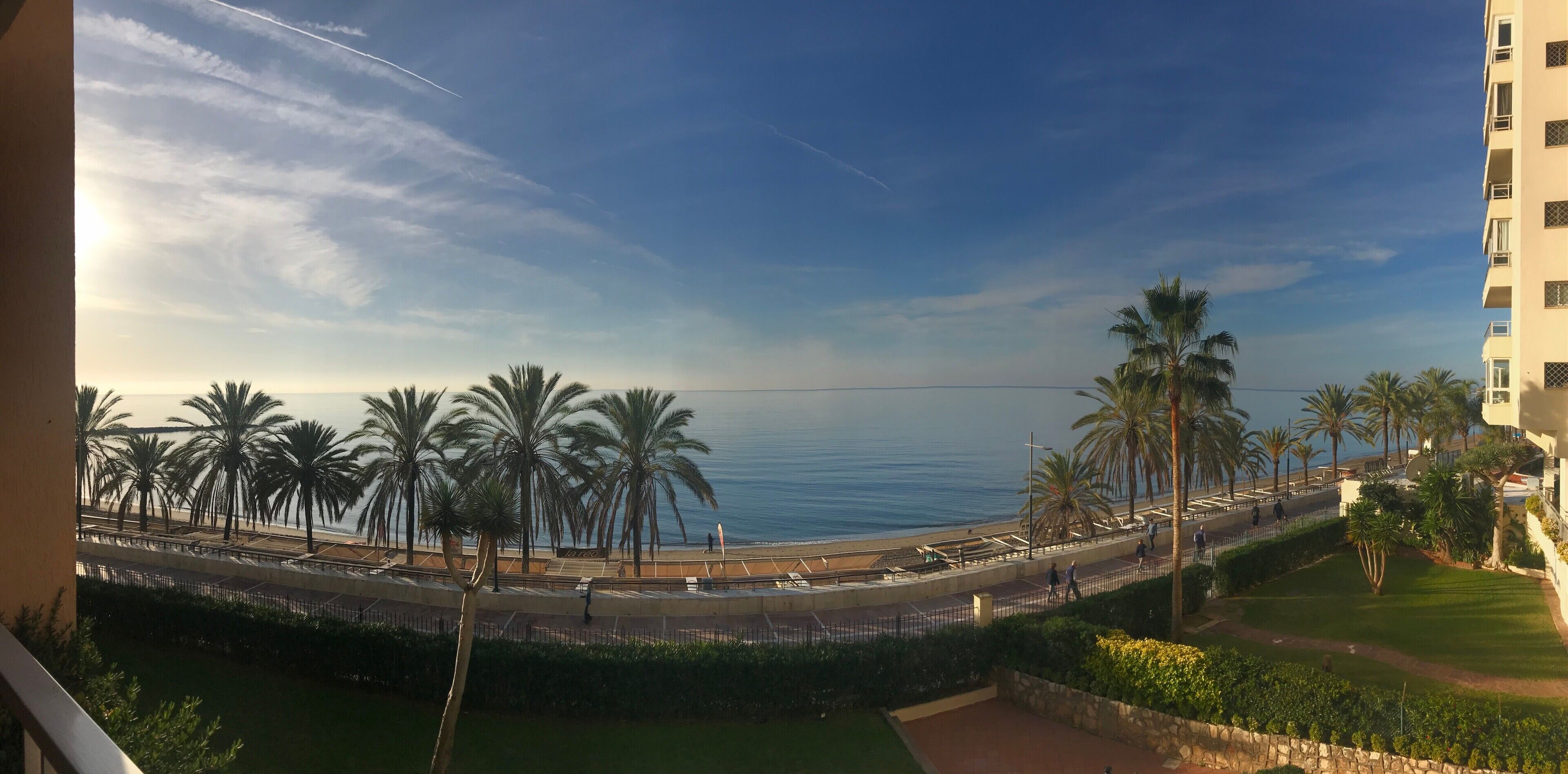 A coastal view with palm trees, a beach, and a promenade.