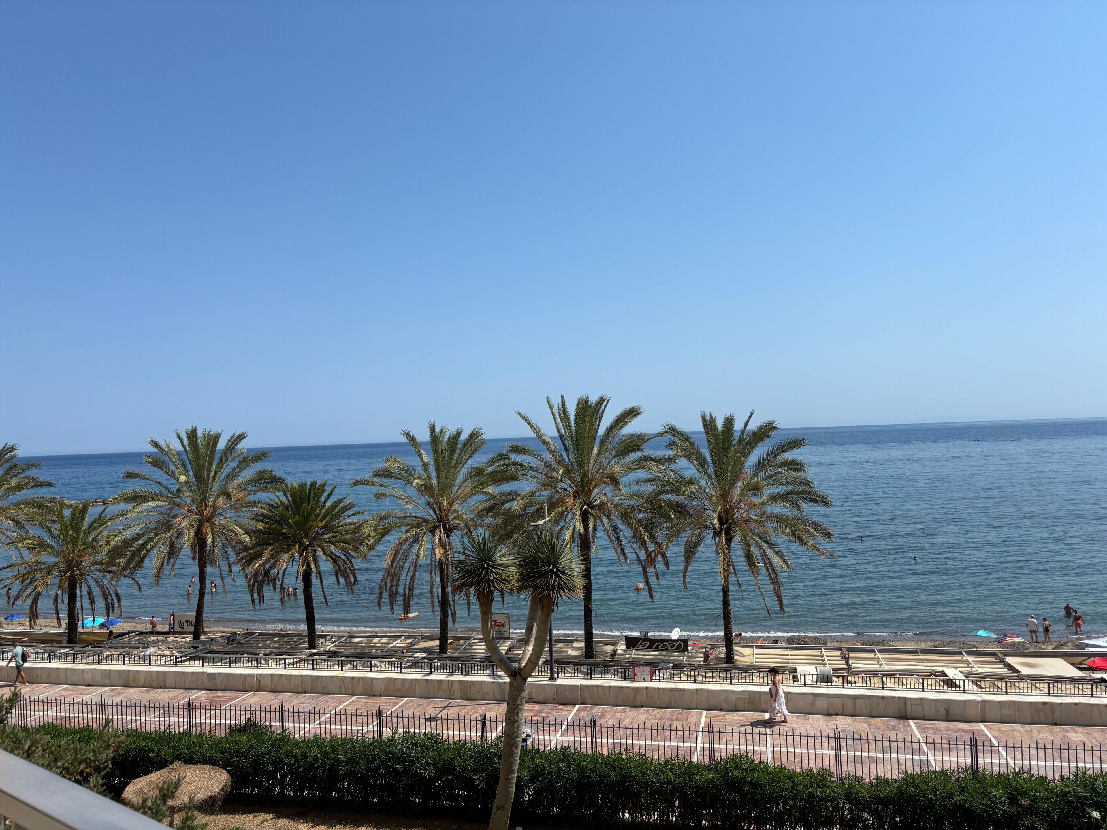 Blick auf einen Strand mit Palmen und blauem Himmel.