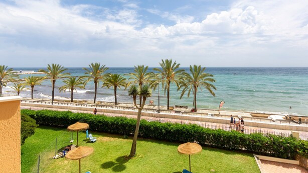 Une vue sur la côte, avec des palmiers, une plage et une promenade.