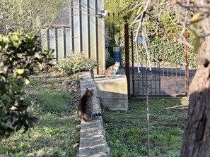 Property grounds - La Casa di Carla (Imperia)