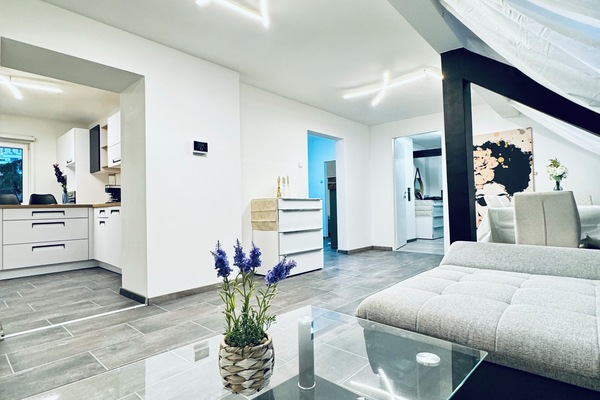 Basic Apartment | Living room