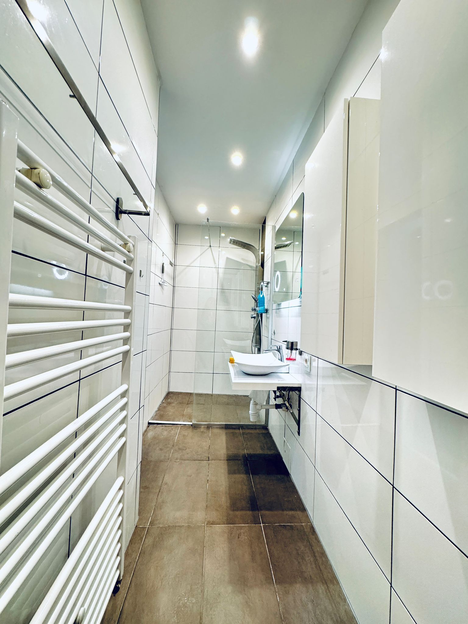 Basic-Apartment | Badezimmer | Dusche, kostenlose Toilettenartikel, Haartrockner, Handtücher
