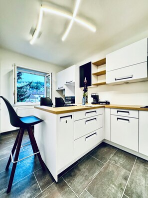 Basic Apartment | Private kitchen | Fridge, oven, stovetop, dishwasher