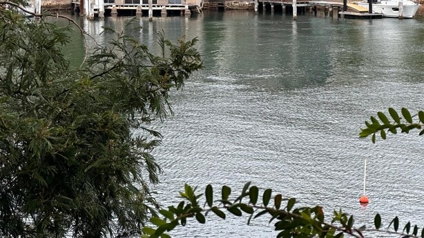 A waterfront property with multiple buildings, including a modern house with a dock and a boat. - Mosman Bay - ROSE2 - Rose Crescent - Art Deco Mosman Bay home (Mosman)