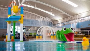 A water play area with a large frog structure and a water fountain. - Fun for Families: Location, Cinema, Games, Wifi (Perth)