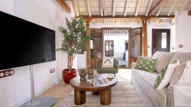 A living room with a flat-screen TV, a round wooden coffee table, a potted plant, a green armchair, and a beige sofa with decorative pillows. - Luxury Apartment in Granada Horno Marina 6 (Granada)