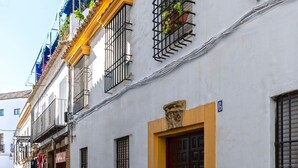Apartment | 1 bedroom, high-speed internet - Private Terrace Views Manriquez (Córdoba)