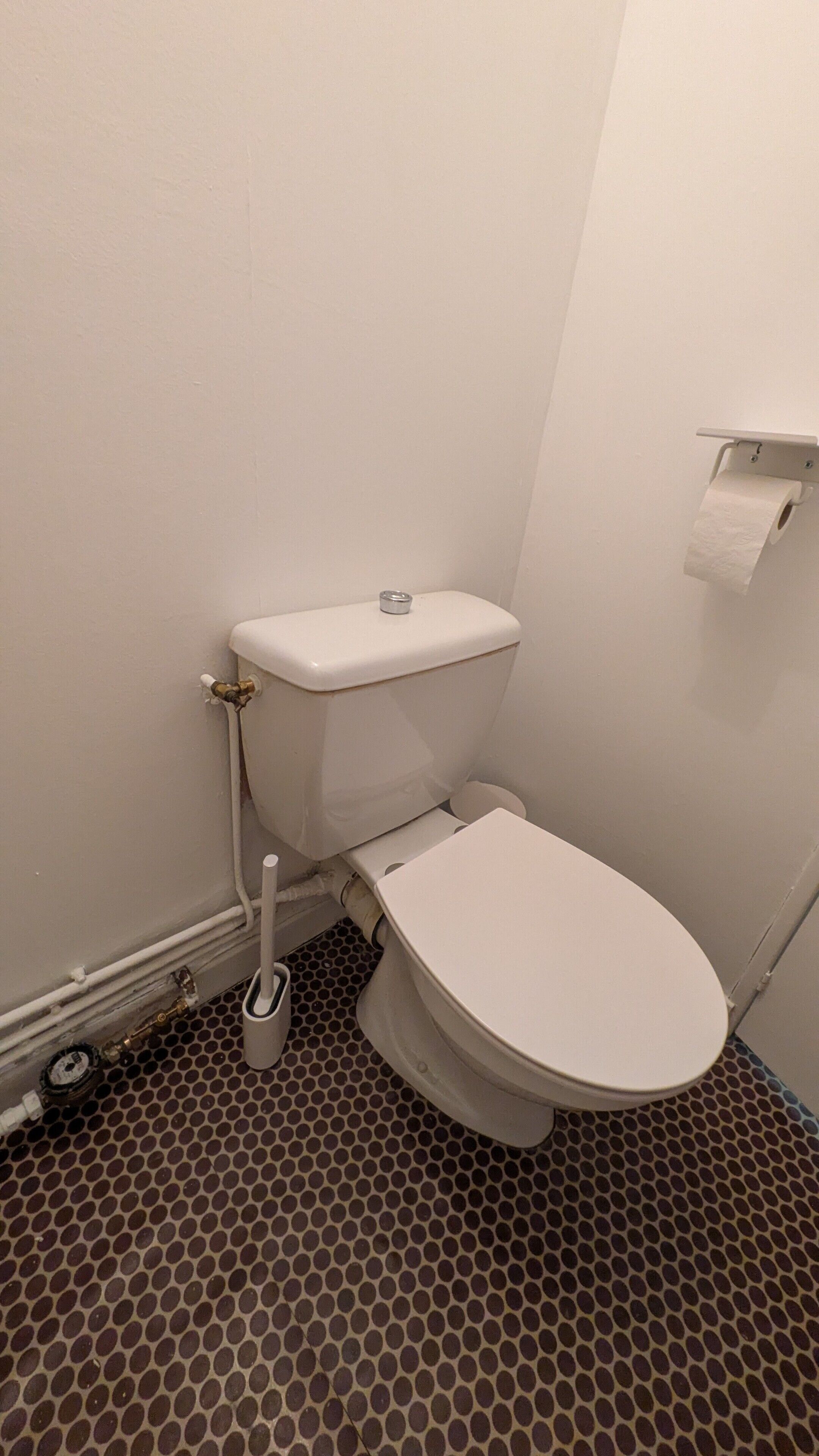 A standard toilet with a white tank and seat, a toilet paper holder on the wall, and a floor with a circular pattern.