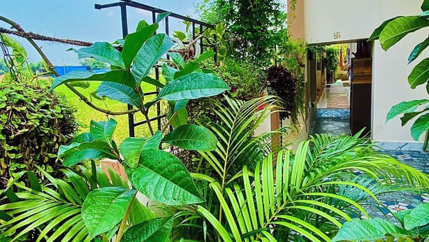 Un exuberante jardín con diversas plantas tropicales y una barandilla metálica.