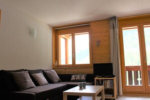 TV, DVD player - very comfortable 2-room apartment for 2-4 persons : living room with double sofa-bed - kitchen with (Grimentz)