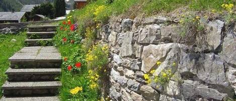 Áreas de la propiedad