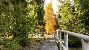 Una scala in legno con ringhiere in metallo, immersa nel verde e circondata da alberi.