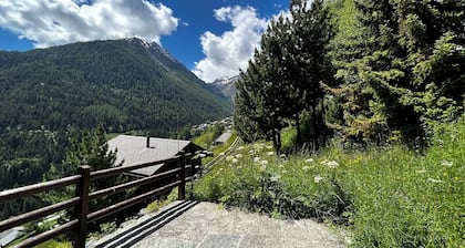 Very comfortable chalet for 6 persons: ground floor: living room with chimney - kitchen with dishwas