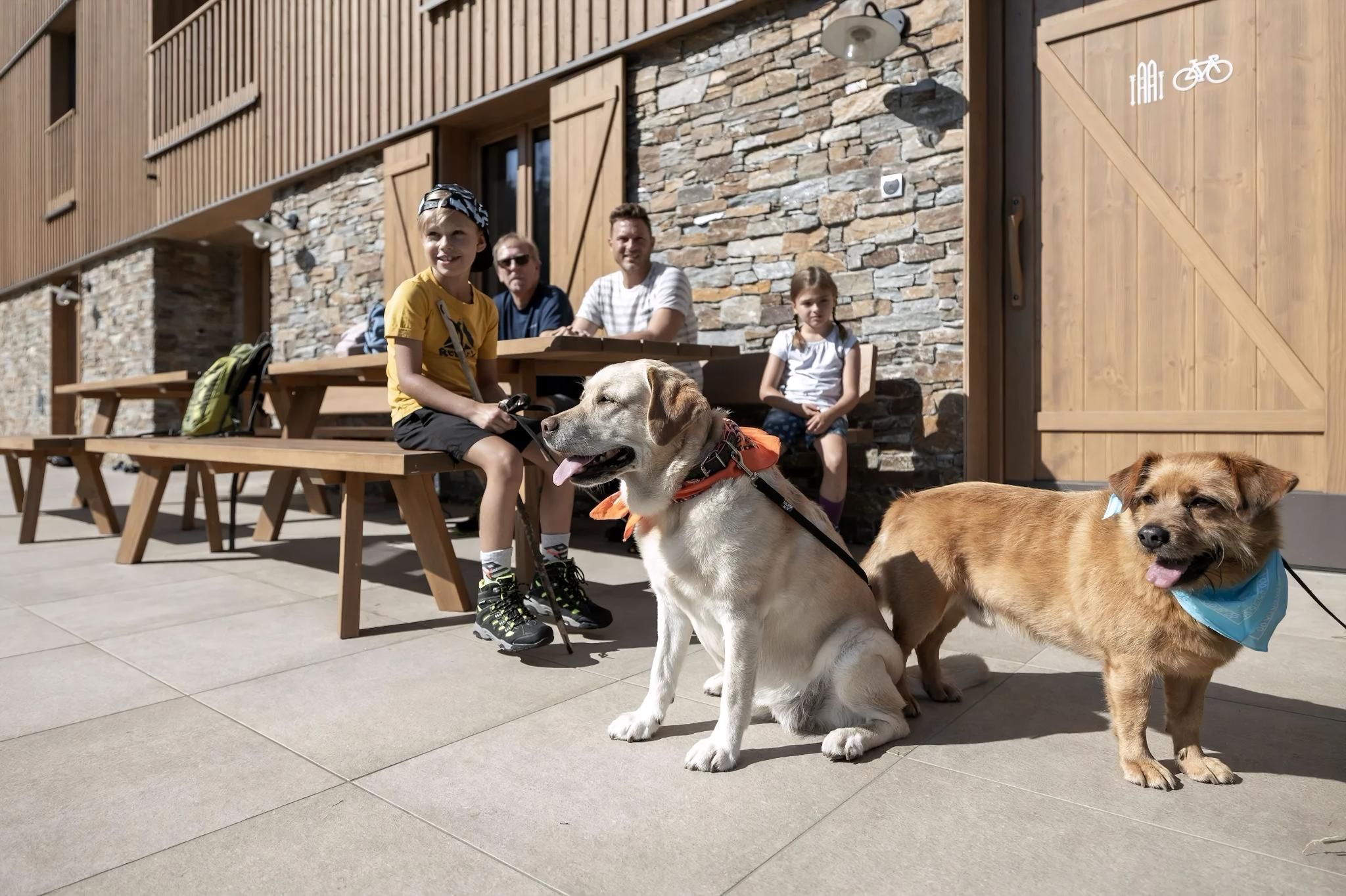 Un grupo de personas sentadas en una mesa de madera al aire libre, con un perro usando una bandana cerca.
