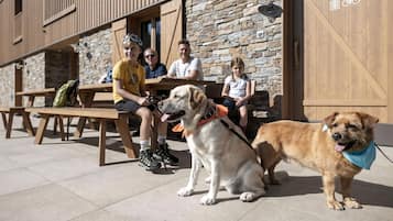 Un grupo de personas sentadas en una mesa de madera al aire libre, con un perro usando una bandana cerca.