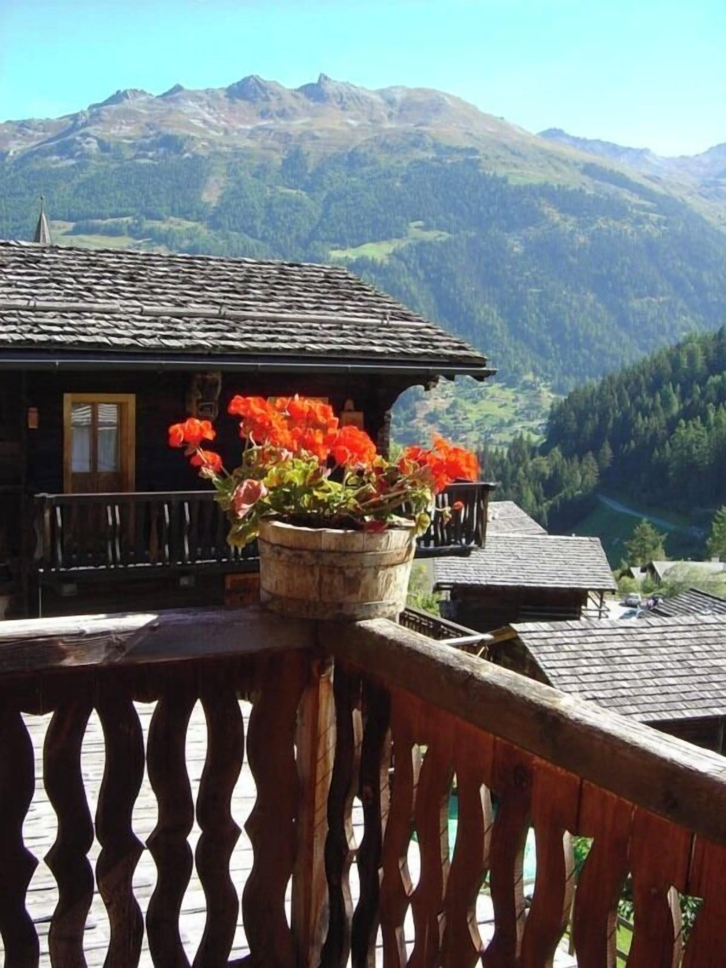 A wooden balcony with a potted plant and a mountain view.