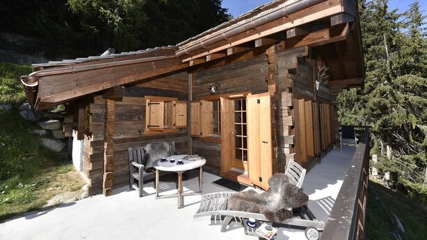 En rustik hytte med træbeklædning, en overdækket terrasse, træmøbler og en hund.