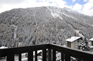 Property grounds - Comfortable studio for 2-4 persons : Entrance-hall - living room with 2 pull-down beds and 2 sofa-be (Grimentz)