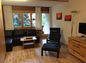 Fernseher