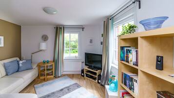 Télévision, cheminée, lecteur de DVD, chaîne hi-fi