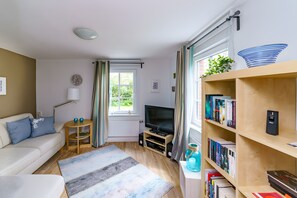 Télévision, cheminée, lecteur de DVD, chaîne hi-fi