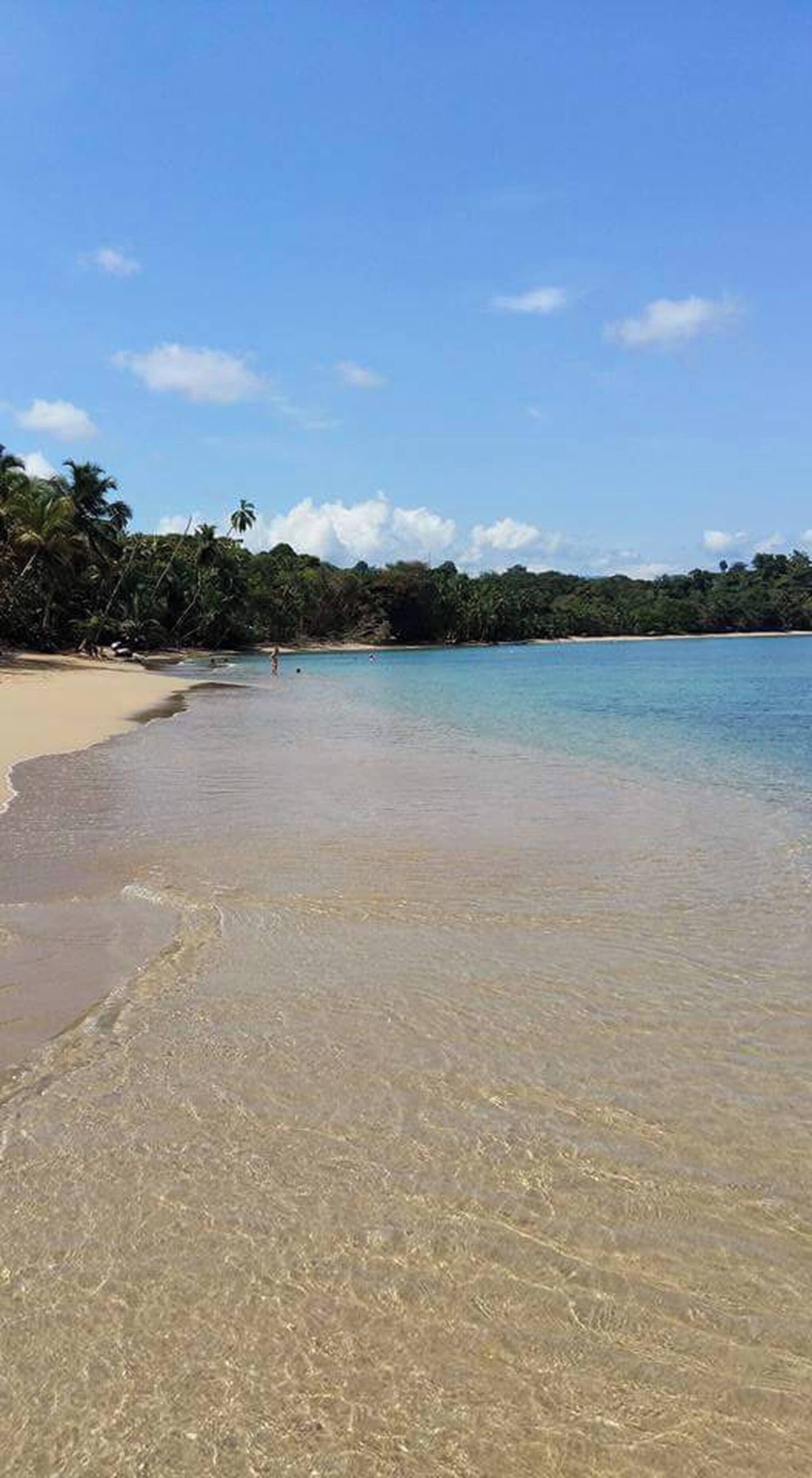 A beach with clear shallow waters, a sandy shore, and dense tropical vegetation in the background.