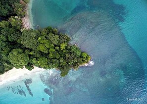 An aerial view of a coastal area with dense green vegetation and clear blue waters. - Brisas del Caribe # 2 (Cahuita)