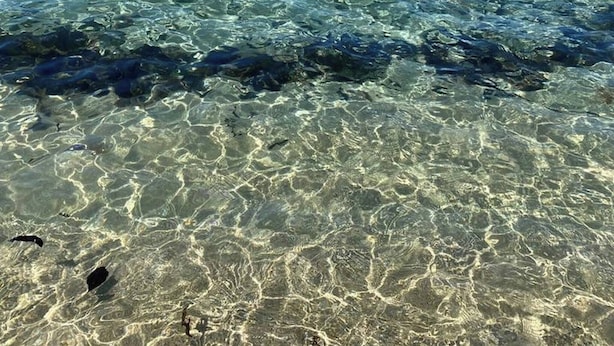 Una vista despejada de una playa con aguas poco profundas y arena visible.