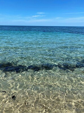 A clear view of a beach with shallow water and visible sand. - Brisas del Caribe Apartment (Cahuita)