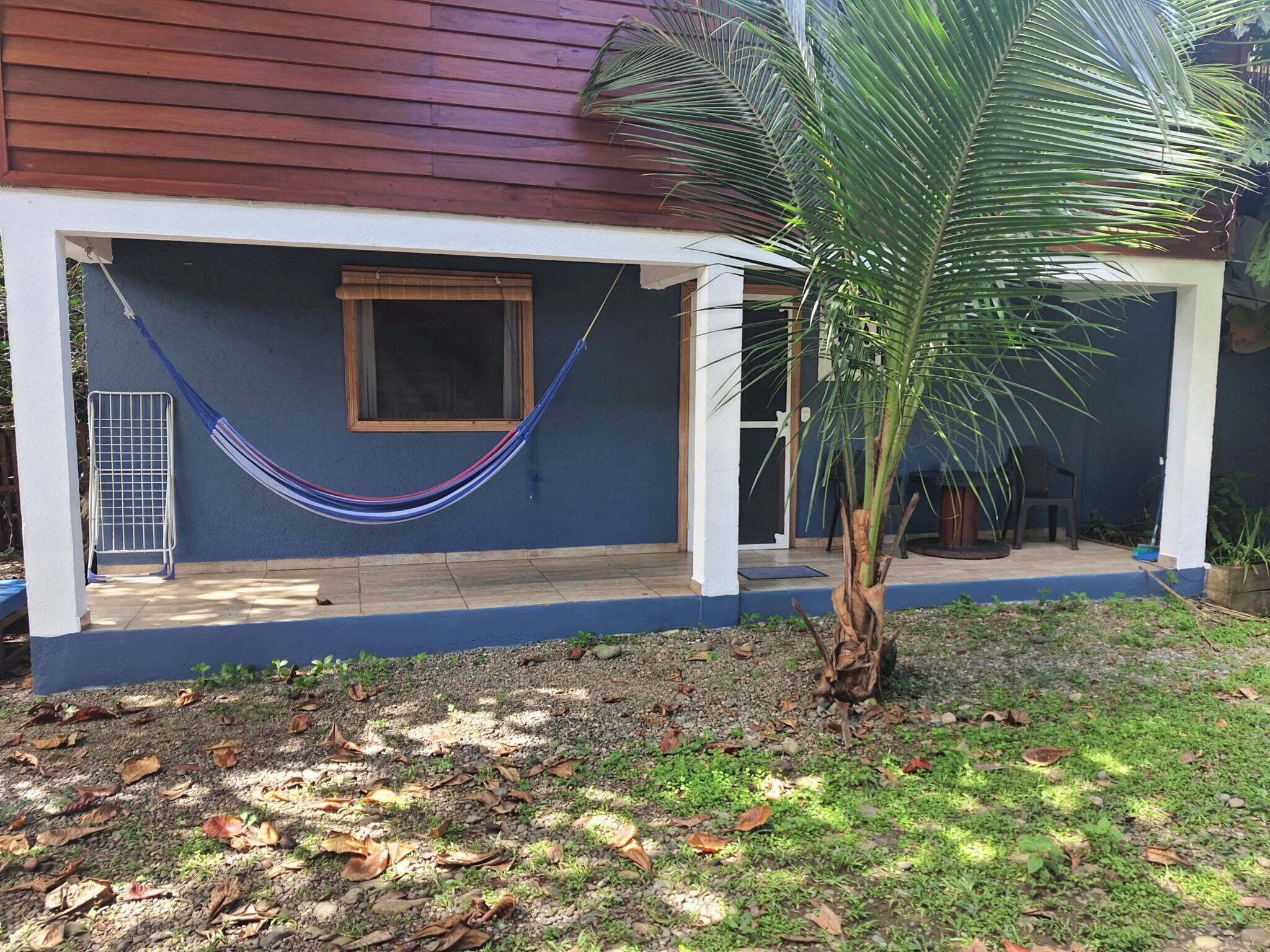 A covered outdoor area with a hammock, a palm tree, and a small garden area with rocks and leaves.