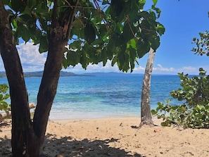 Ein Strand mit klarem, blauem Wasser, Sandstrand und Bäumen.