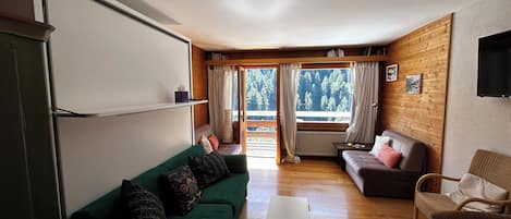 Fernseher